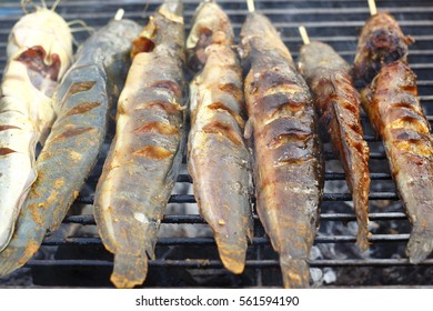 Grilled Walking Catfish. Grilled Fish. Their Sauce Made From Curcumin To Give Yellow-orange Color In Fish.