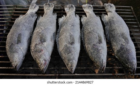  Grilled White Snapper 5 Seabass Grilled With Salt On A Charcoal Grill                            