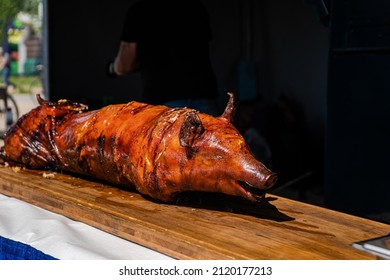 A grilled whole pig ready to be served.