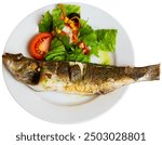 Grilled whole sea bass drizzled with herb-infused garlic olive oil, served with fresh vegetable salad of lettuce, tomatoes, carrots and corn on white plate. Isolated over white background