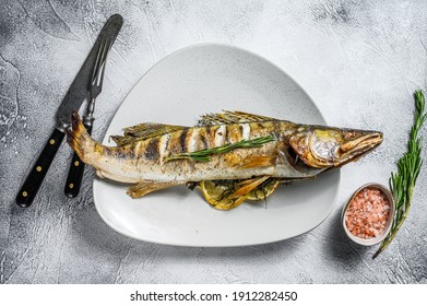 Grilled Zander, walleye fish with herbs and lemon on a plate. Gray wooden background. Top view