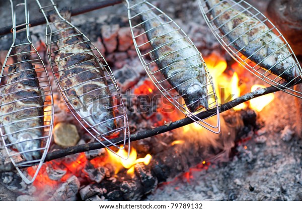 焚き火で魚を焼く の写真素材 今すぐ編集 焚き火で魚を焼く の写真素材 今すぐ編集