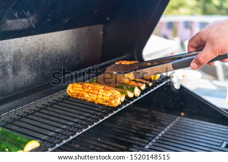 Grilling outdoor on a gas burning grill on the backyard patio.