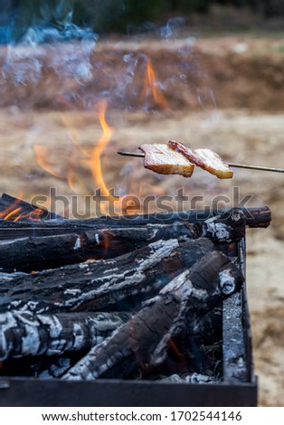 Grilling seson beginning in Spring