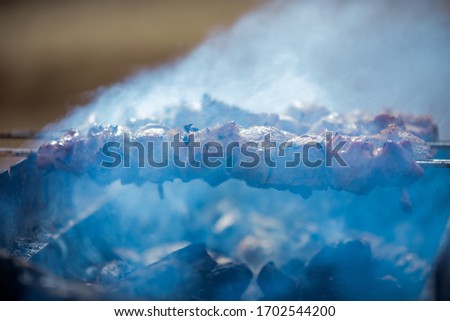 Grilling seson beginning in Spring