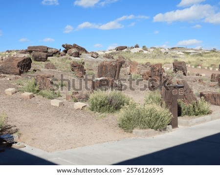 The grim reality of The Petrified Forest