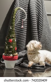 Grinch Tree With White Dog On Dark Background