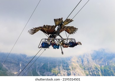 Grindelwald First peak activity - First Glider, Switzerland. Flying with a bird of prey, tourist attraction