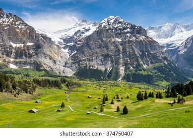 Grindelwald Landscape, Switzerland
