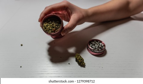 Grinder in woman hand. Medical marijuana buds in crasher. Cannabin on white table (background)