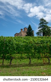 GRINZANE CAVOUR - CUNEO - ITALIA - AUGUST 6, 2021: In The Territory Of The Langhe, With Langhe Museum, Fascinating Historical Rooms, Precious Cavouriani Memorabilia And The Cavour Piedmontese Regional