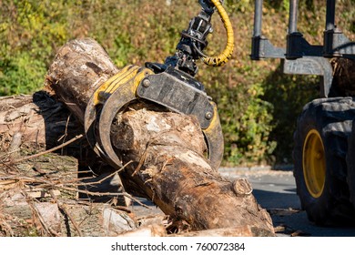667 Grab lorry Images, Stock Photos & Vectors | Shutterstock