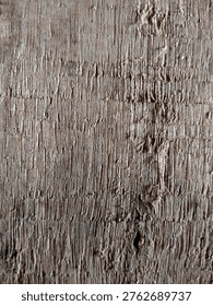 Gritty Aged Timber Surface Texture with Distinctive Wood Knot