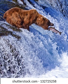 Grizly Bears At Katmai National Park, Alaska, USA