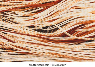 Grizzly Hackle Feathers Of Different Colors