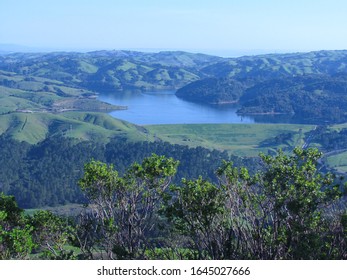 Grizzly Peak Beauty At Berkeley 