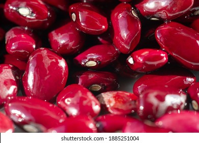 Grocery photography. red beans isolated on white background. it is a variety of common beans (Phaseolus vulgaris). It is named for its visual similarity in shape and color to the bud. - Shutterstock ID 1885251004