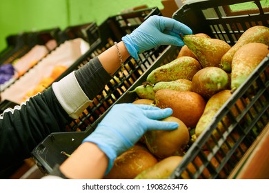 A Grocery Worker Wearing Blue Latex Gloves And Putting Fresh Pears In A Box