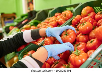 A Grocery Worker Wearing Blue Latex Gloves And Putting Fresh Tomatoes In A Box