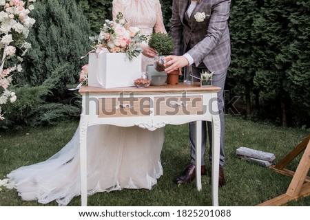 the groom and the bride plant a tree at ceremony