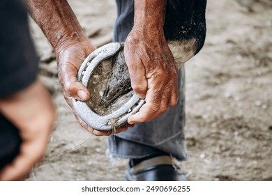 Groom checks and repairs horseshoes of a horse - Powered by Shutterstock