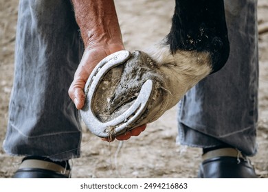 Groom checks and repairs horseshoes of a horse - Powered by Shutterstock