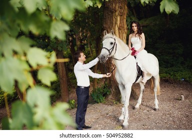 groom holds the horse bride could ride