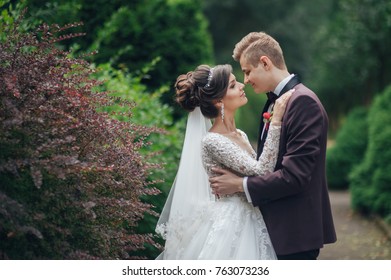 Groom Kisses Brides Cheek Tender Hugging Stock Photo 763073236 ...