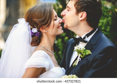 Groom Kisses A Nose Of Smiling Bride