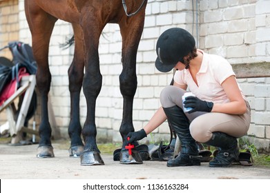 Groomer Horsewoman Taking Care Of Chestnut Horse Hoof. Outdoors Multicolored Horizontal Image.