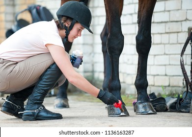 Groomer Horsewoman Taking Care Of Chestnut Horse Hoof. Outdoors Multicolored Horizontal Image.
