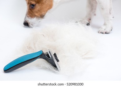 Grooming brush and heap of animal hair with dog at background