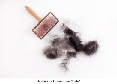 Grooming equipment for dogs with black animal hair isolated on white background