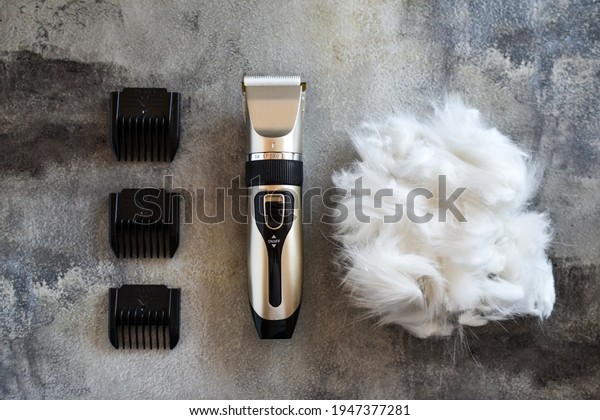 Grooming tool. Hair trimmer and cat or dog wool\
lying on concrete background. Pet care at home. Removing excess\
hairs in summer to improve animal\'s well-being and heat transfer.\
Pet care and grooming