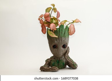 Groot flowerpot with colourful leaves 