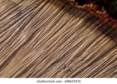 Grooves in an oak section with shadows - Shutterstock ID 698619376