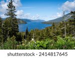 Gros Morne National Park, a Canadian national park and World Heritage Site in Newfoundland. Fjord Inner Bonne Bay East Arm and Gros Morne Mountain. 