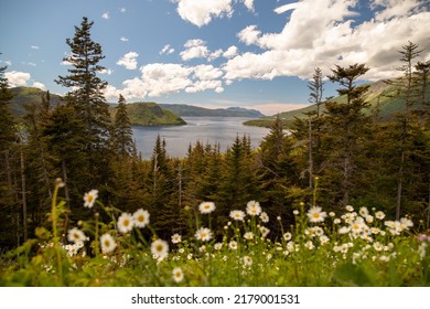 Gros Morne National Park Newfoundland