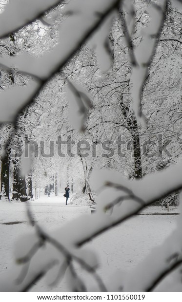 Grosser Garten Dresden Germany Fresh Snow Stock Photo Edit Now