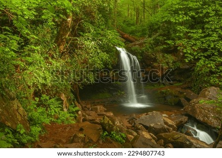 Grotto Falls in the Great Smoky Mountains National Park