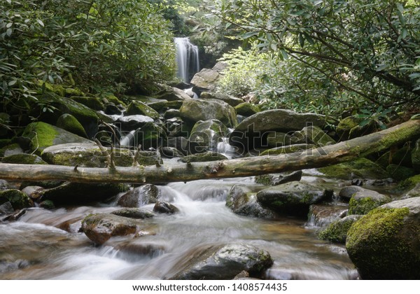 Grotto Falls in the Great Smoky Mountains\
National Park from\
downstream
