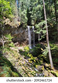 Grotto Falls In Umpqua National Forest