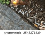 a ground area covered with numerous cigarette butts