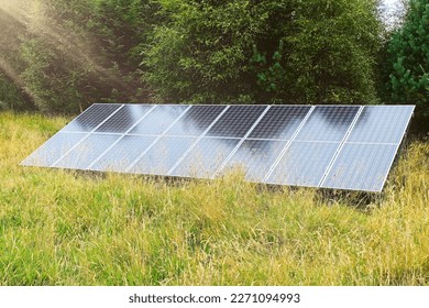 Ground array of  Solar panels placed in front of bushes and surrounded by long grass  