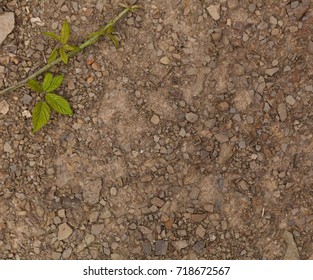 Ground background