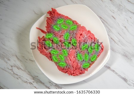 Ground beef meat infected with escherichia coli also known as Ecoli bacteria