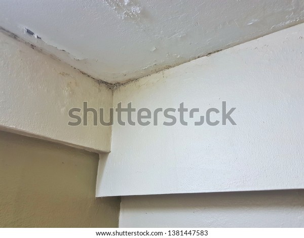 Ground Floor Old Apartment Ceiling Has Stock Photo Edit Now