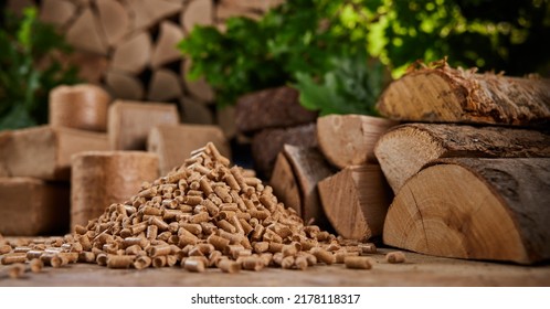 Ground level of heap of compressed wood pellets stacked on floor near chopped firewood of various types with green leaves and biomass briquettes in sunlight - Shutterstock ID 2178118317