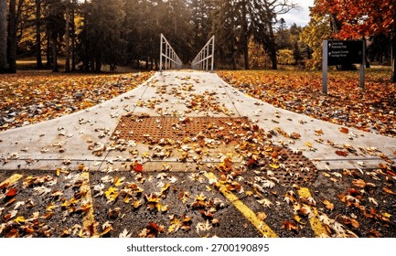 Ground level leaf covered path pathway walk, late fall, autumn. Stairs leading down to trail, metal rail railing Woods. Fallen falling leaves. Gold, red, brown. W Ross Macdonald school, Brantford.