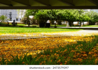 ground level view of park with yellow flowers and cycle path - Powered by Shutterstock